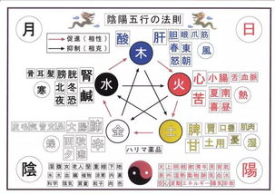 五行之间的爱恨情仇