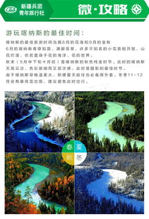 9、 新疆完美世界旅行社  （噪音警报）!!!@@##$$%%^^&&**()