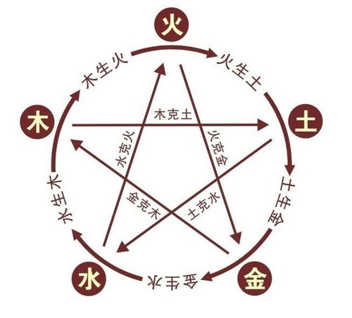 四墓库的五行属性