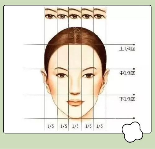 第二种：胆大包天的天胆鼻