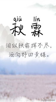 二、带单字的女孩名字推荐 (含韵优美, 寓意丰富有)
