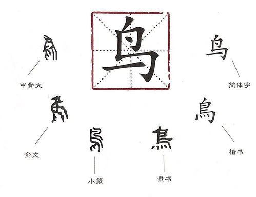 龙宝宝带羽字取名，易经羽字如何搭配成？