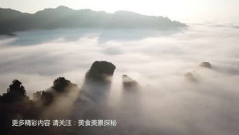 第三天：天子山的云海像个大锅盖