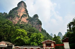 第四天：天门山—索道+玻璃栈道+鬼屋惊魂（别笑）