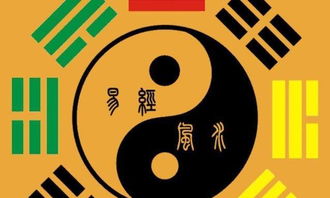 日主十神：玄学还是扯淡？