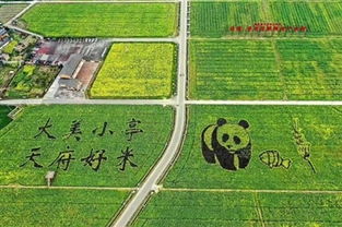 四川周边游的隐藏玩法：绝不只是看山看水！
