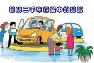 买车风水禁忌大公开