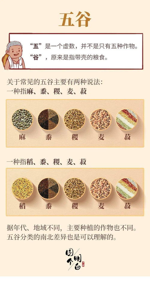 五谷不分指的是哪个生肖？五谷不分是什么意思？