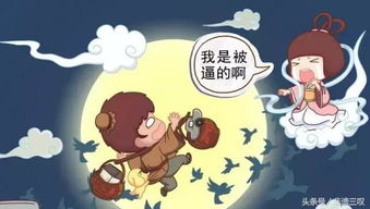 牛郎的罪行与风水反噬