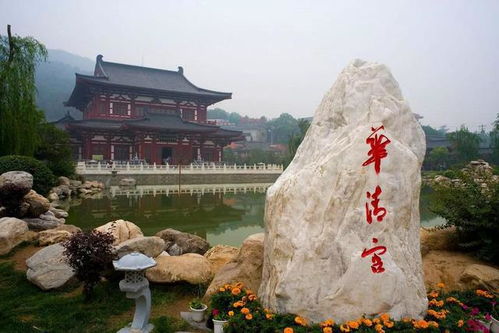 惯与那个让人心痛又心动的门票价格