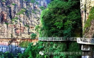 五指石：排队两小时尖叫五分钟的人造奇观