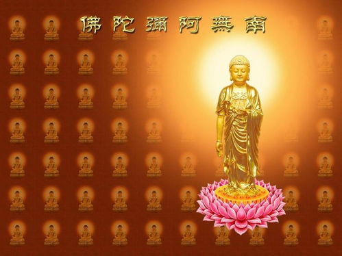 一、 前言：星辰与生肖的糊涂交响