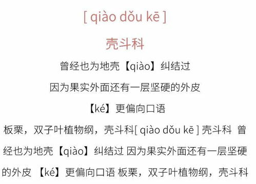 虚假装自己是诗歌中的更少女