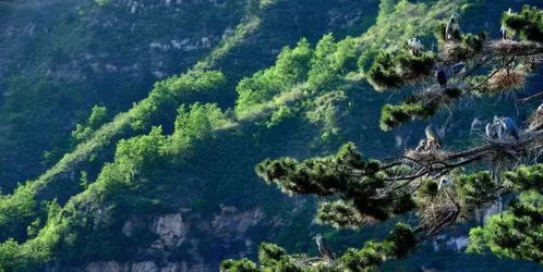 四、 避开人潮的较小技巧（加点情绪）