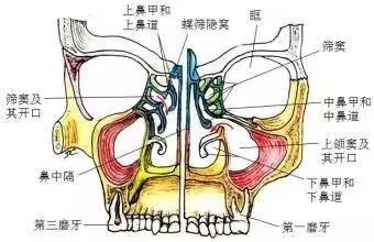 梦见拔牙预示着什么？婚礼和寻高人解梦有何关联？