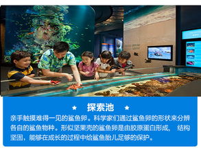 五、 亲子互动游戏推荐