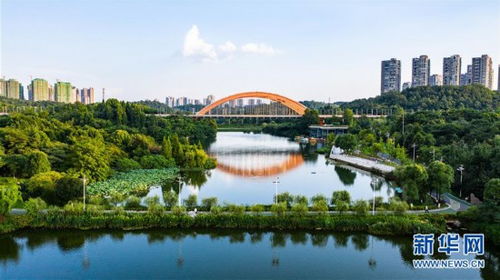 四、 夏日午后墨水湖公园的休闲时光
