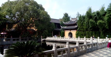 交通路线的纠结与选择