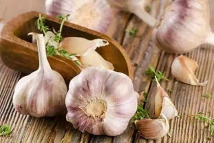 健康方面：注意脾胃问题