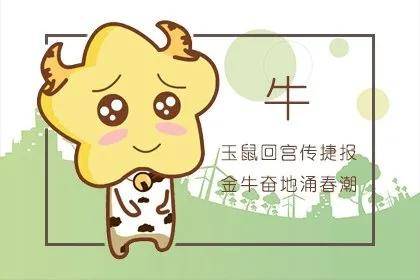 1961年属牛的人2026年运势如何？运气会怎样变化？