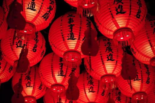 汉族春节庆祝方式，传统节日爆款！