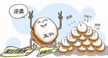 五行？五仁月饼吧！