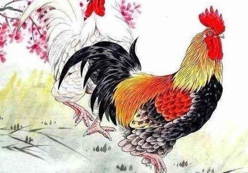 2005年出生属鸡女性在2026年的运势和运程具体如何？