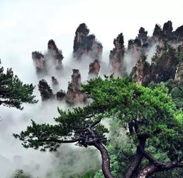 一、为什么非夏天不可来张家帝？（别问我怎么拼）
