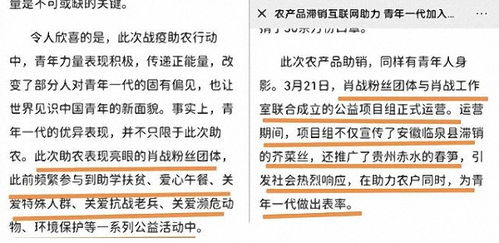 太岁的影响 (别害怕!)