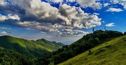 噪音插播：游客留言墙上的彩虹屁🦄✨