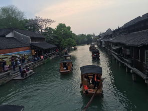 一场惯与江南水乡的破碎梦境：乌镇一日游的深度（与混乱）体验