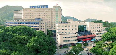 一场不容简单忘的旅程