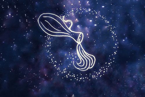 哇塞！这些星座简直让人原地爆炸！