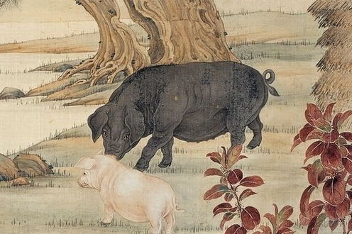 存在风险因素提示：这一些做法会毁掉你全部良好运气
