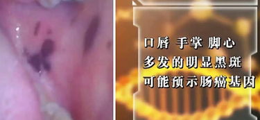 3钱7两女命究竟预示着怎样的命运转折，如何？