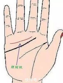 八字和手相哪种算命更准确？手相算八字真的可信吗？