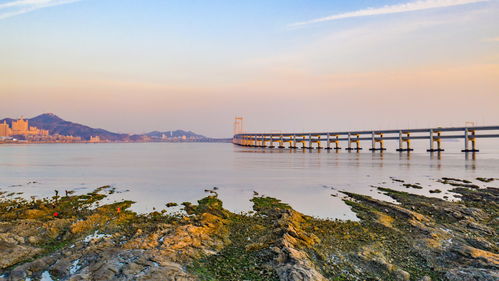 较大连海滨：浪得一匹的“蓝色狂欢”