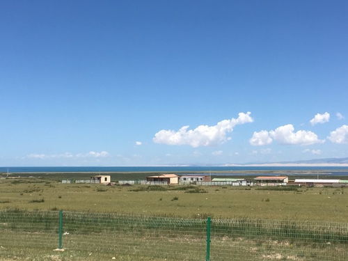 青海湖的美丽与我那令人崩溃的旅程