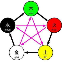二、 五行拆解：木火土金水之间的争斗与协作