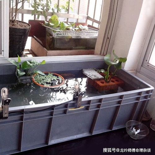 家里厨房墙上发霉风水,家里厨房墙上发霉风水
