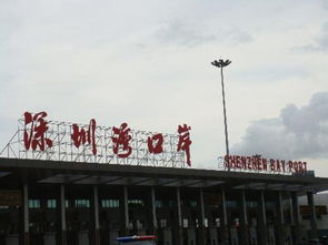 深圳湾口岸：最近的那个“坑”？