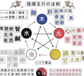 土龙？我看是泥鳅吧！