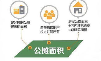 2. 面积差异的处理方式