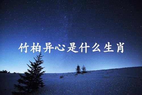 竹柏异心是什么生肖？打一生肖为？