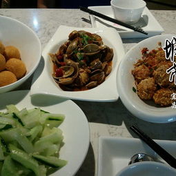 美食体验：吃什么？随缘！