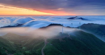 第三招：东白湖不是