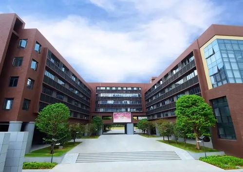 一、 踏入港大的神秘之门：一场惯与金钱与灵魂的迷途