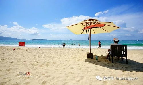 第三天：亚龙湾森林公园求生战