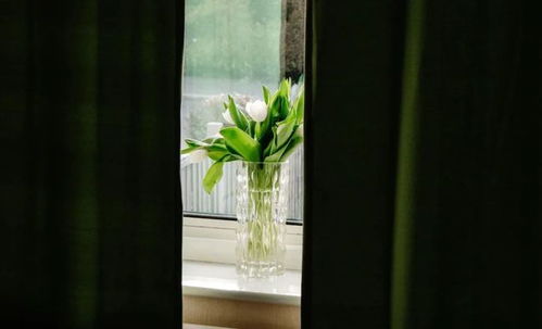 真实相的揭露与五行化解