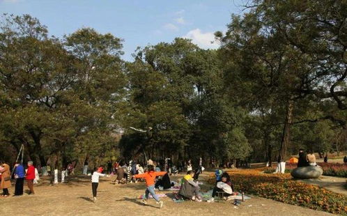 二、青岛炎热门赏花地点推荐